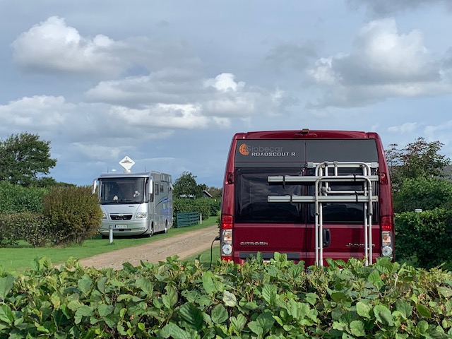 Reisemobilstellplatz - Hunde: erlaubt - Dänemark - Feldberg Familie Camping