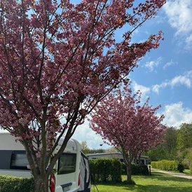 Wohnmobilstellplatz: Naldmose Strand Camping