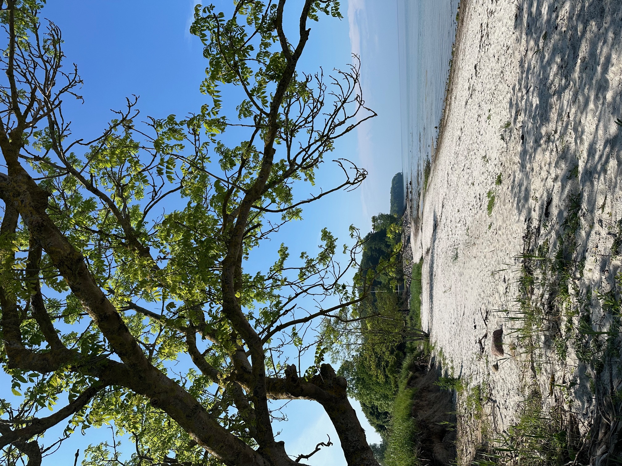 Wohnmobilstellplatz: Naldmose Strand Camping