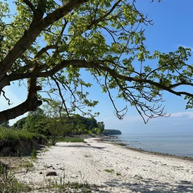 Wohnmobilstellplatz: Naldmose Strand Camping