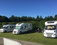 Wohnmobilstellplatz: Stellplatz Sindal Camping - A35 Sindal Camping Dänemark Kanuverleih