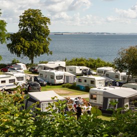 Wohnmobilstellplatz: DCU-Camping Aarhus - Blommehaven
