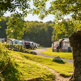 Wohnmobilstellplatz: DCU-Camping Aarhus - Blommehaven