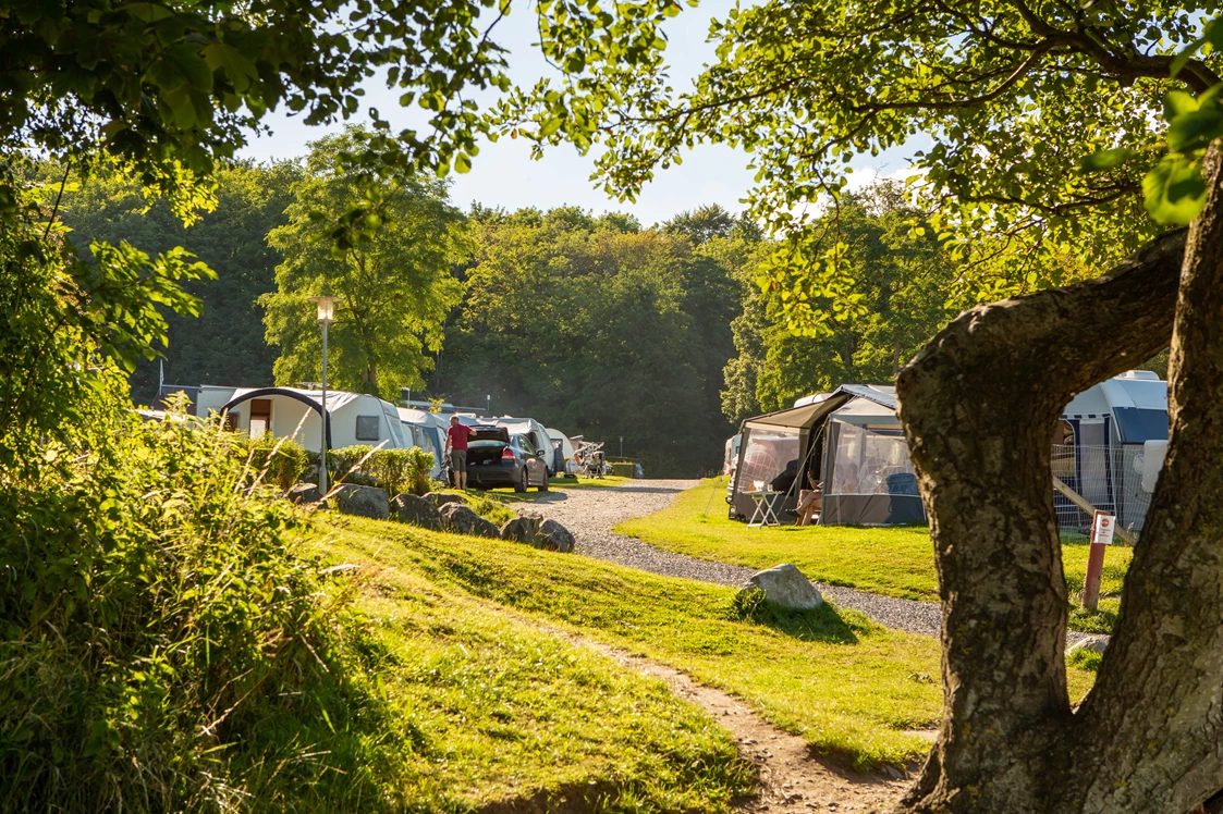 Wohnmobilstellplatz: DCU-Camping Aarhus - Blommehaven