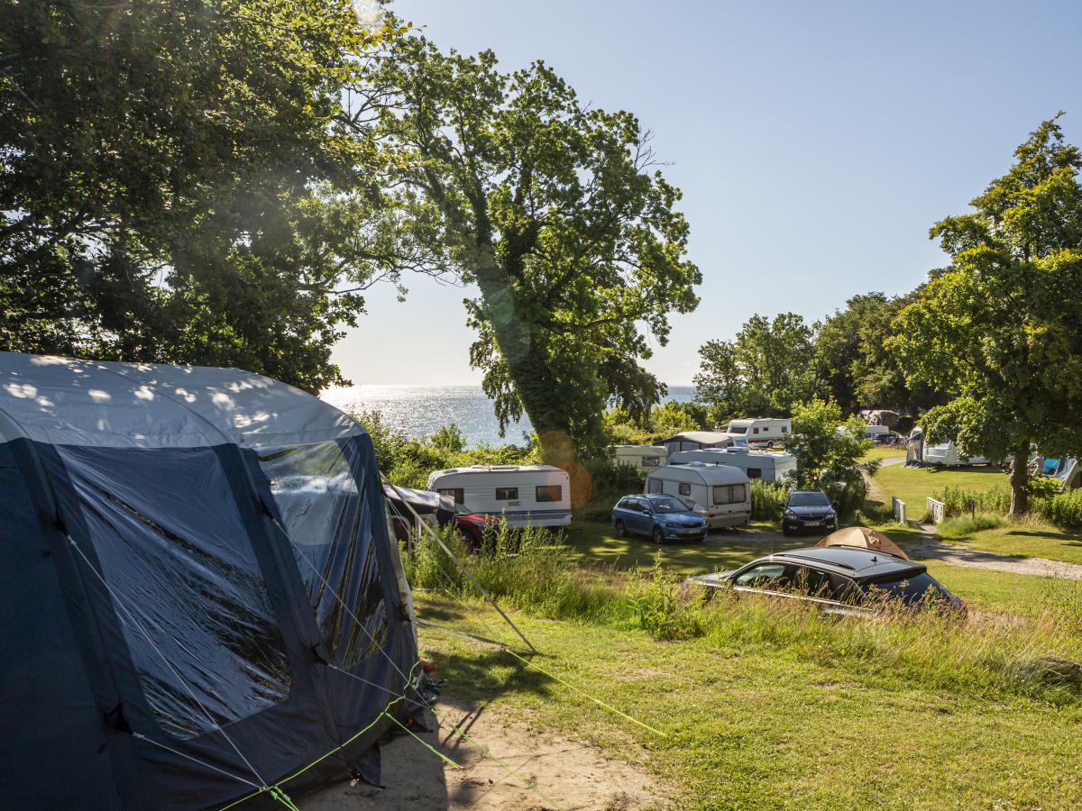 Wohnmobilstellplatz: DCU-Camping Aarhus - Blommehaven