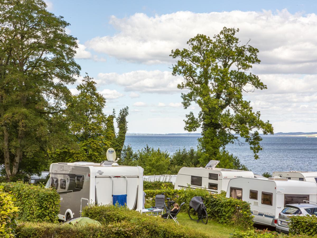 Wohnmobilstellplatz: DCU-Camping Aarhus - Blommehaven