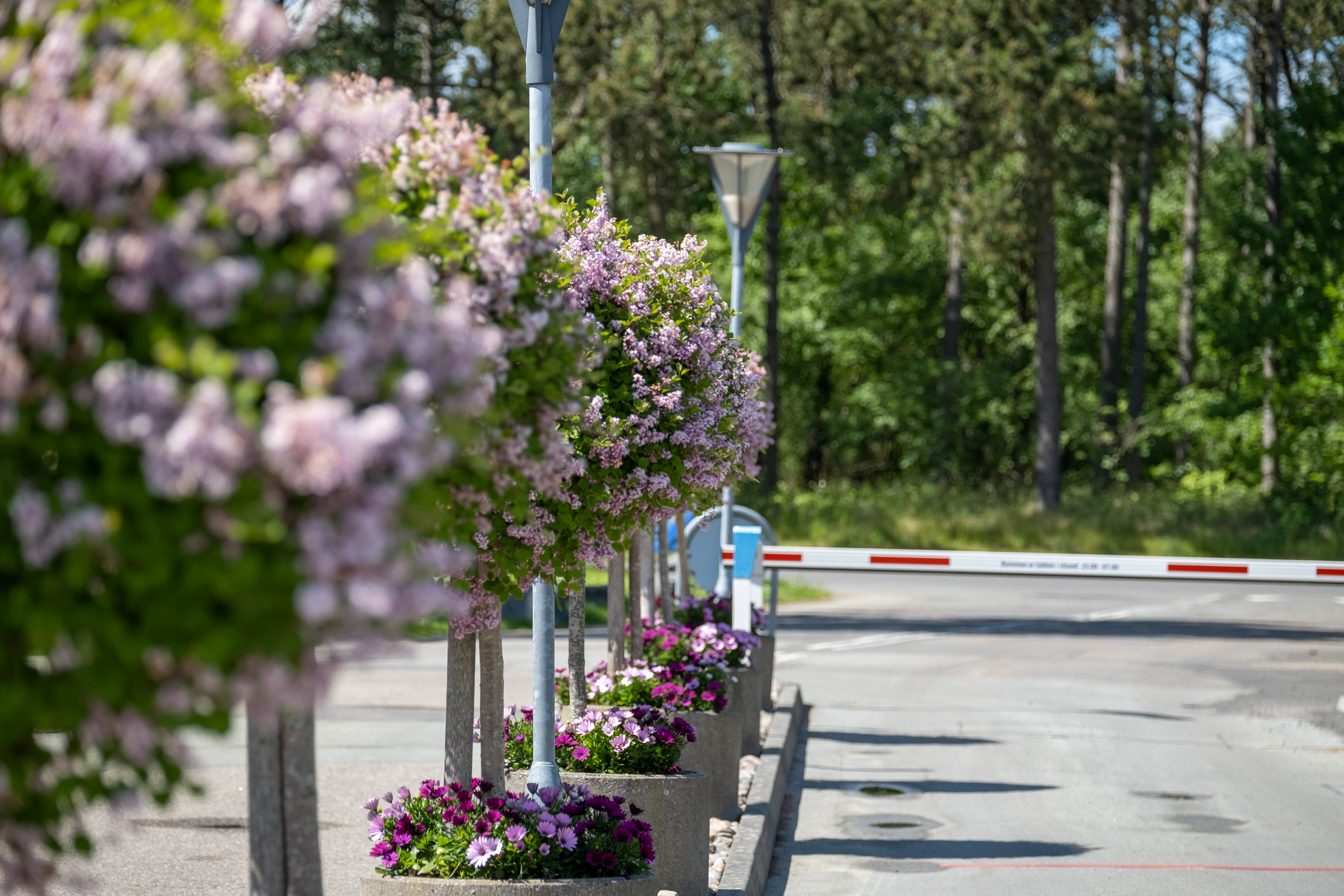 Wohnmobilstellplatz: Grenaa Strand Camping APS
