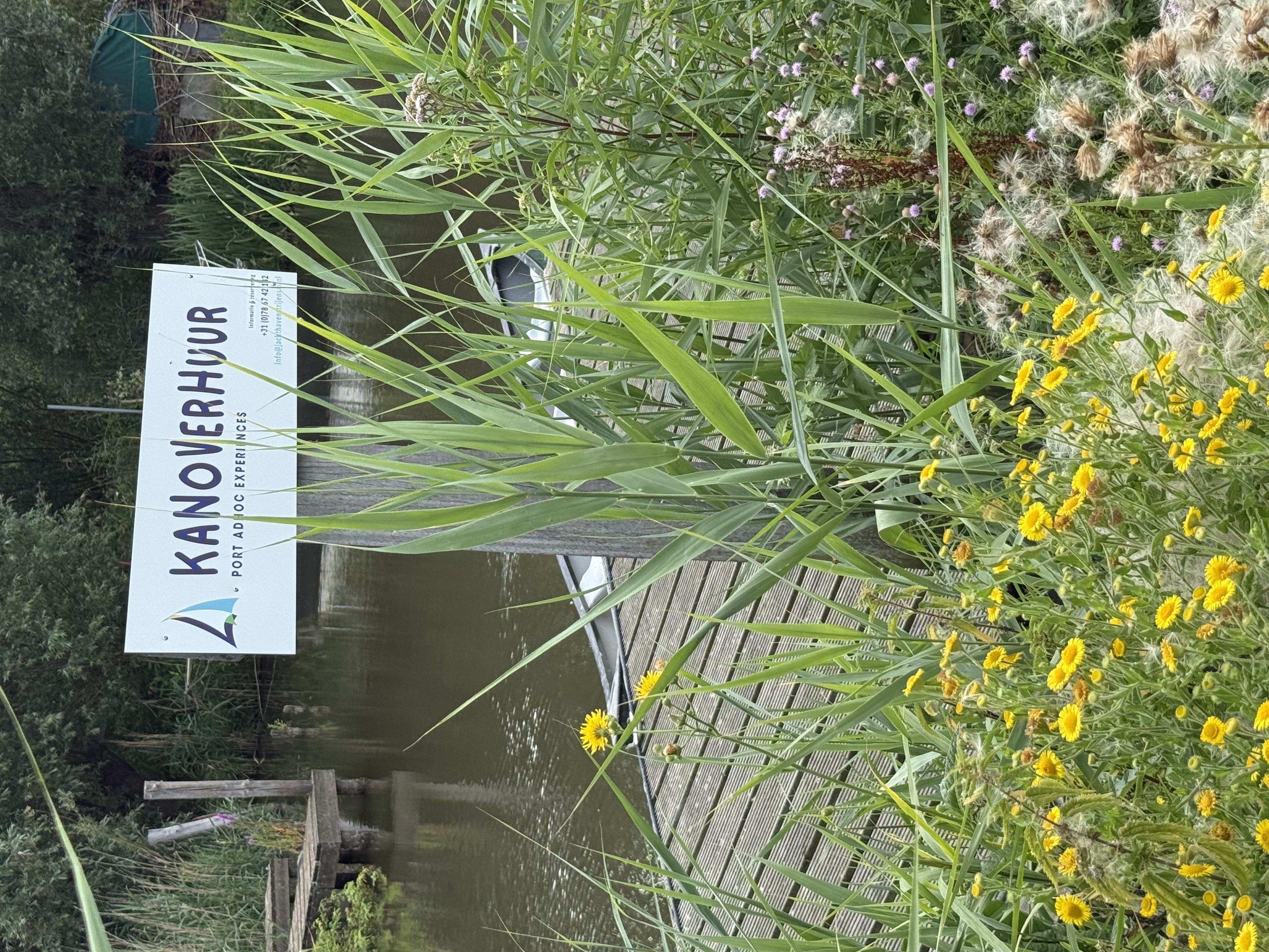 área camper - Barendrecht - Jachthaven Strijensas