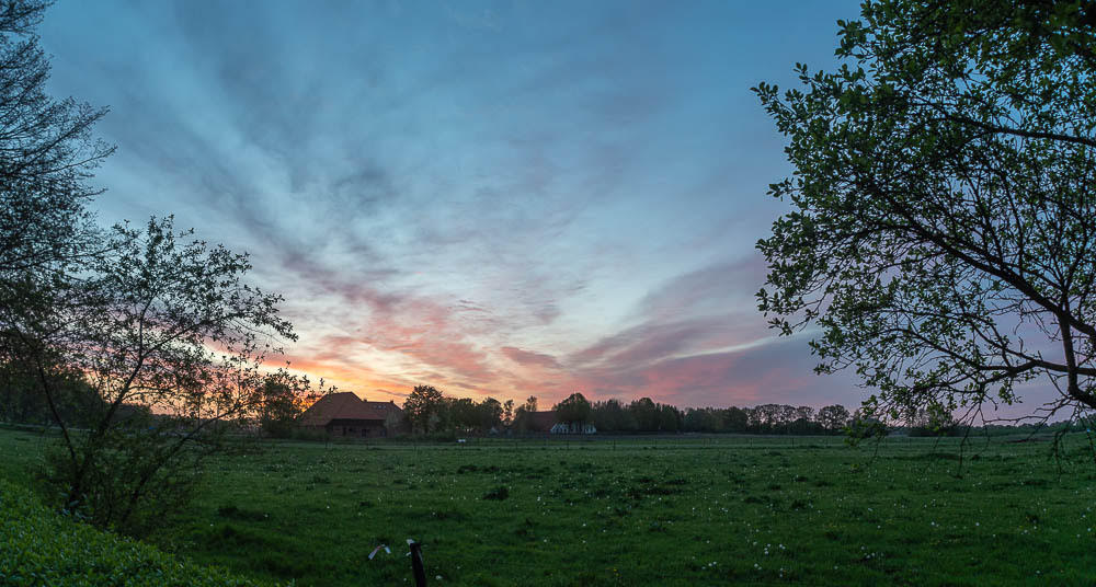 Reisemobilstellplatz - Zwartemeer - Uitzicht vanaf de camping  - Camping de Waalehof