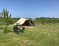 Wohnmobilstellplatz: Mini-camping Victoria
