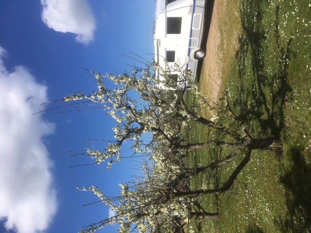 Wohnmobilstellplatz: Mini-camping Victoria