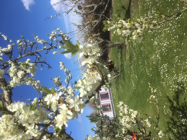 Wohnmobilstellplatz: Mini-camping Victoria - Verpflegung