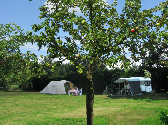 Reisemobilstellplatz - Duschen - Neukirchen-Vluyn - Camping de Rozenhorst