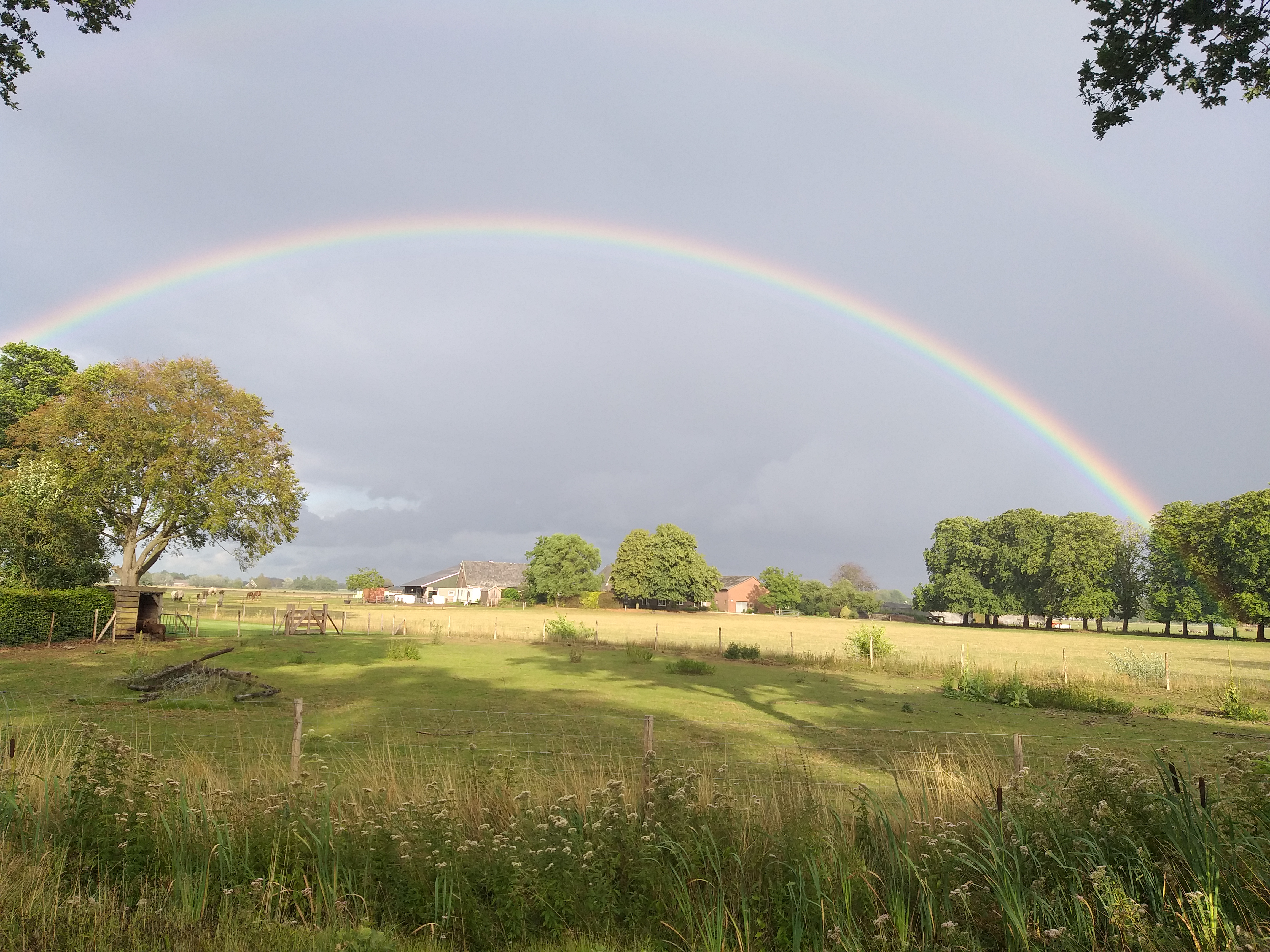 Wohnmobilstellplatz: Minicamping de Loenense Brug