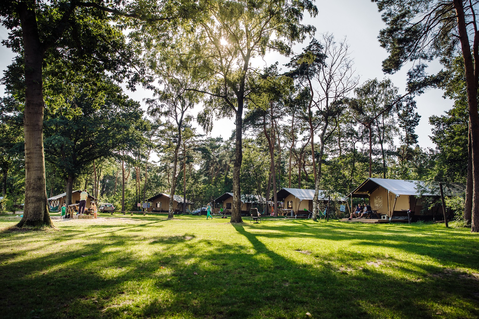 Place de parking pour camping-car - Montfort - Camping  Recreatiepark Beringerzand