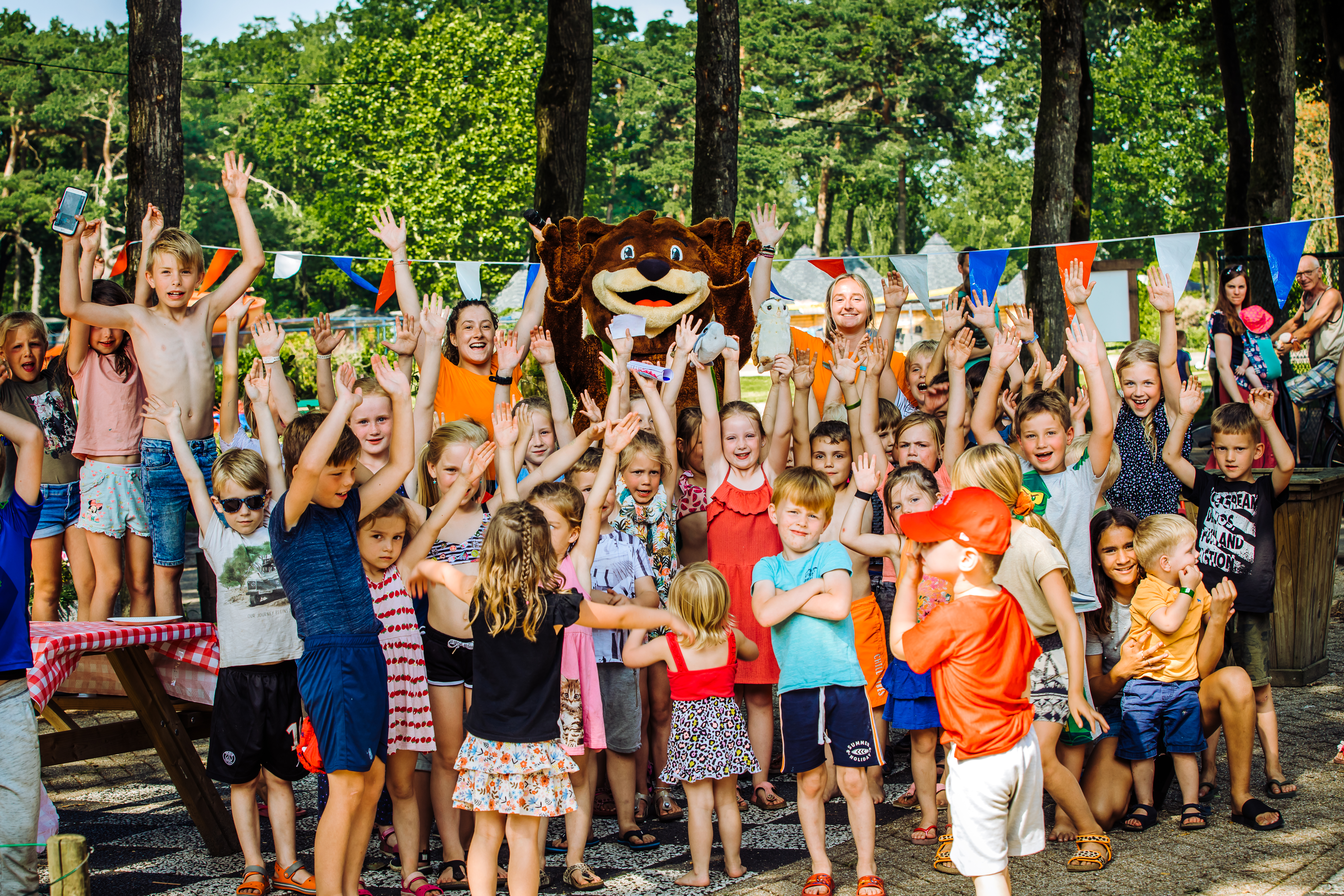 Wohnmobilstellplatz: Recreatiepark Beringerzand
