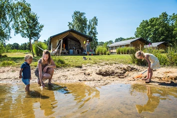 Wohnmobilstellplatz: Camping Vreehorst