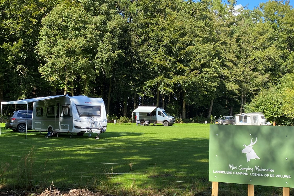 Wohnmobilstellplatz: SVR Mini Camping Molenallee ,Loenen op de Veluwe
