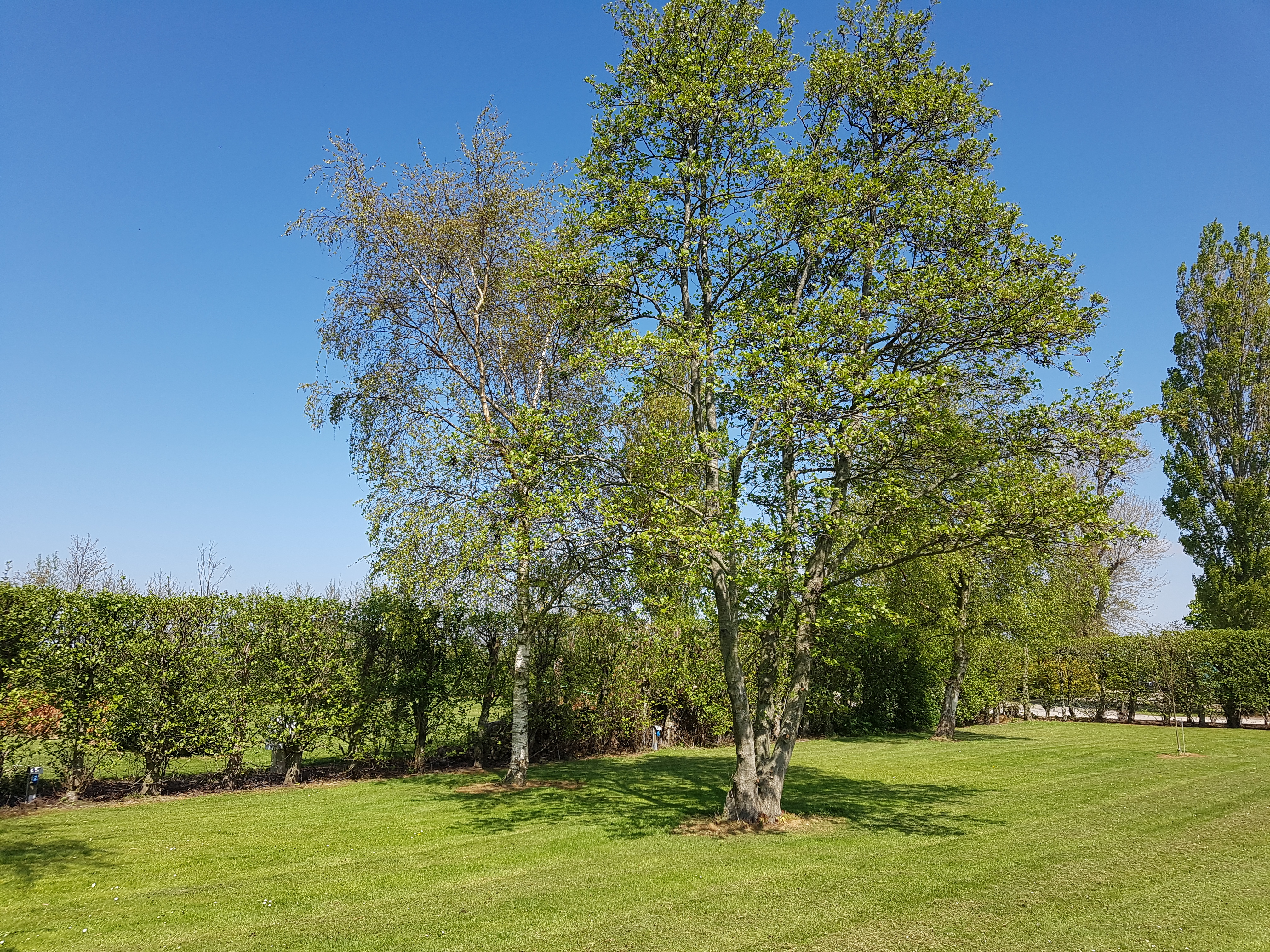 Wohnmobilstellplatz: Camping de Boerenzwaluw, Zijdewind, Noord-Holland, Nederland - Camping de Boerenzwaluw