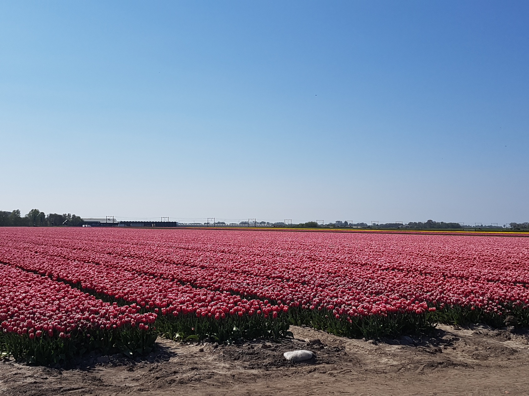 Wohnmobilstellplatz: Camping de Boerenzwaluw