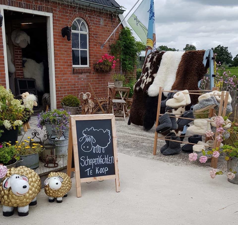 Wohnmobilstellplatz: Leuk winkeltje op de Camperplaats. - Camperplaats Westerwijtwerd