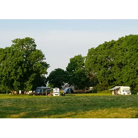 Wohnmobilstellplatz: Camperplaats Westerwijtwerd