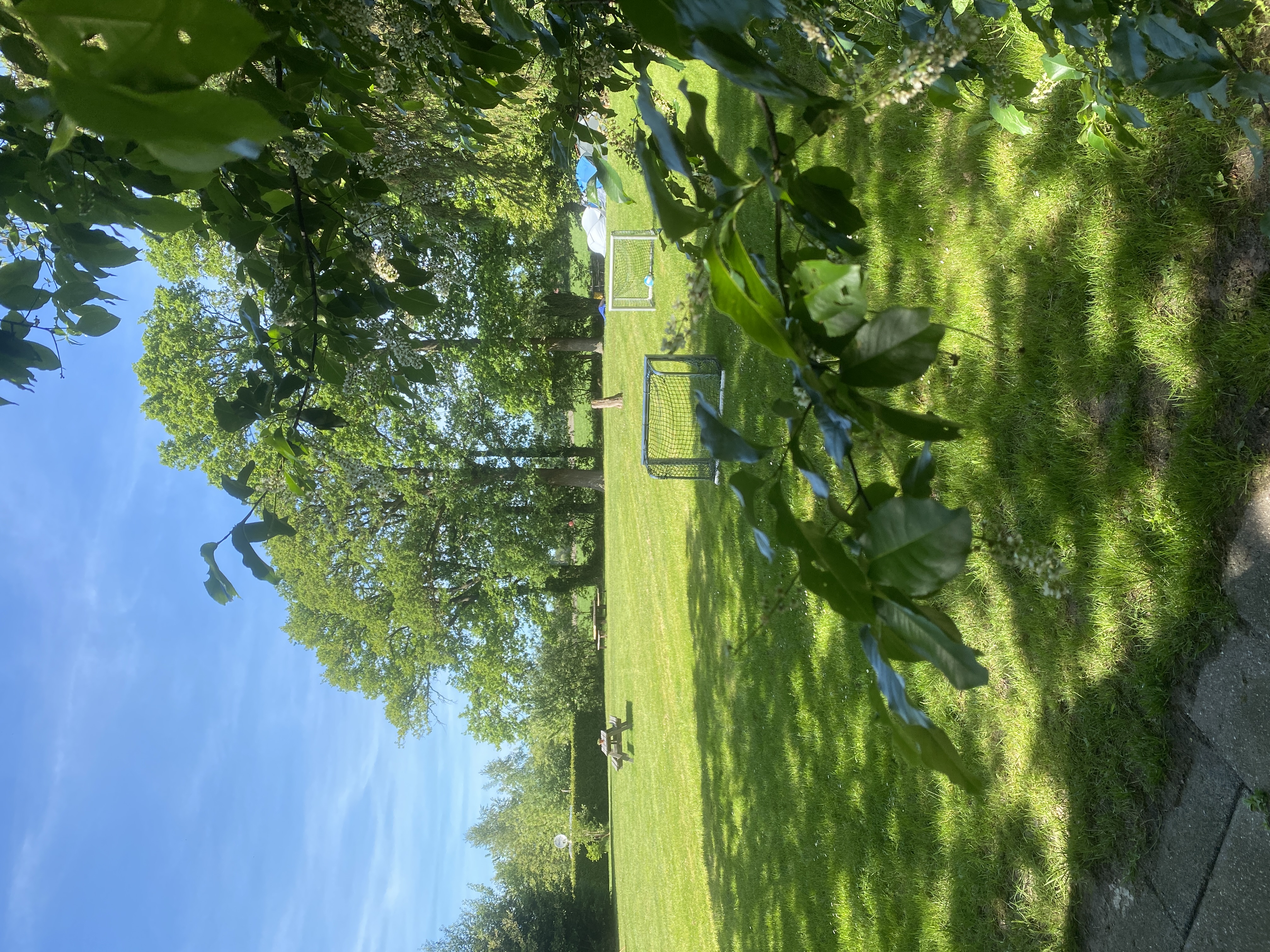 área camper - Stuifzand - Camping De Roskamp