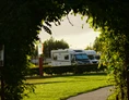 Wohnmobilstellplatz: Camperplaats Jachthaven Biesbosch