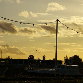 Wohnmobilstellplatz: Camperplaats Jachthaven Biesbosch