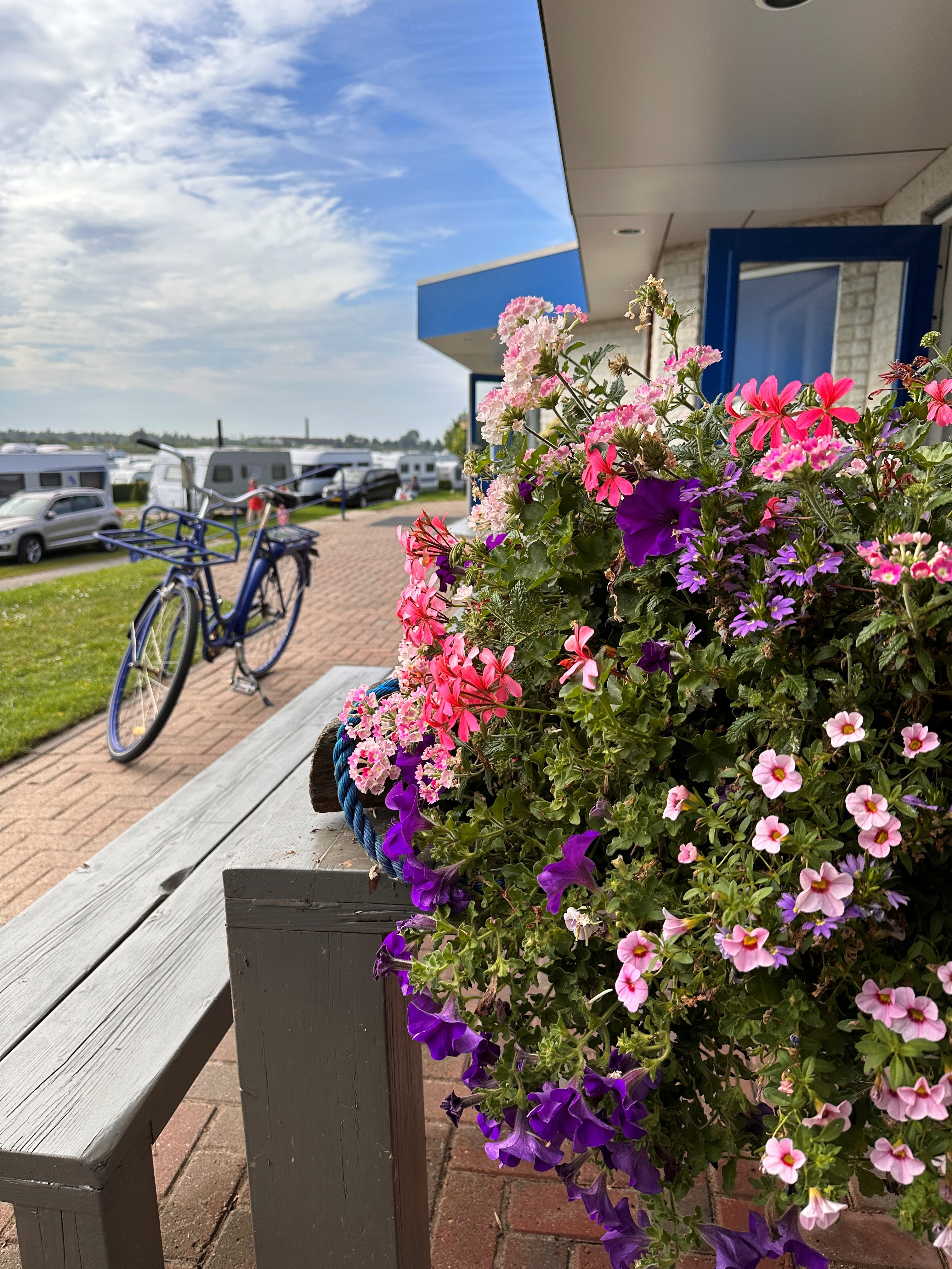 Reisemobilstellplatz: Toiletgebouw - Camping Waalstrand