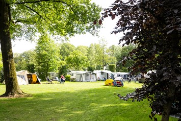 Wohnmobilstellplatz: Campingplätze im Fliert - Camping Recreatiepark De Lucht