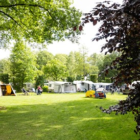 Wohnmobilstellplatz: Campingplätze im Fliert - Camping Recreatiepark De Lucht