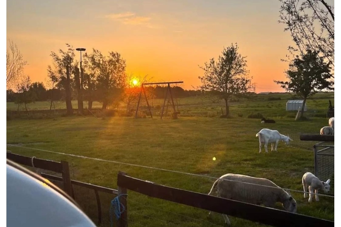 Wohnmobilstellplatz: Genießen Sie wunderschöne Sonnenuntergänge - SVR-Camping Pieters Farm