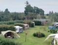 Wohnmobilstellplatz: schöne geräumige Stellplätze - SVR-Camping Pieters Farm