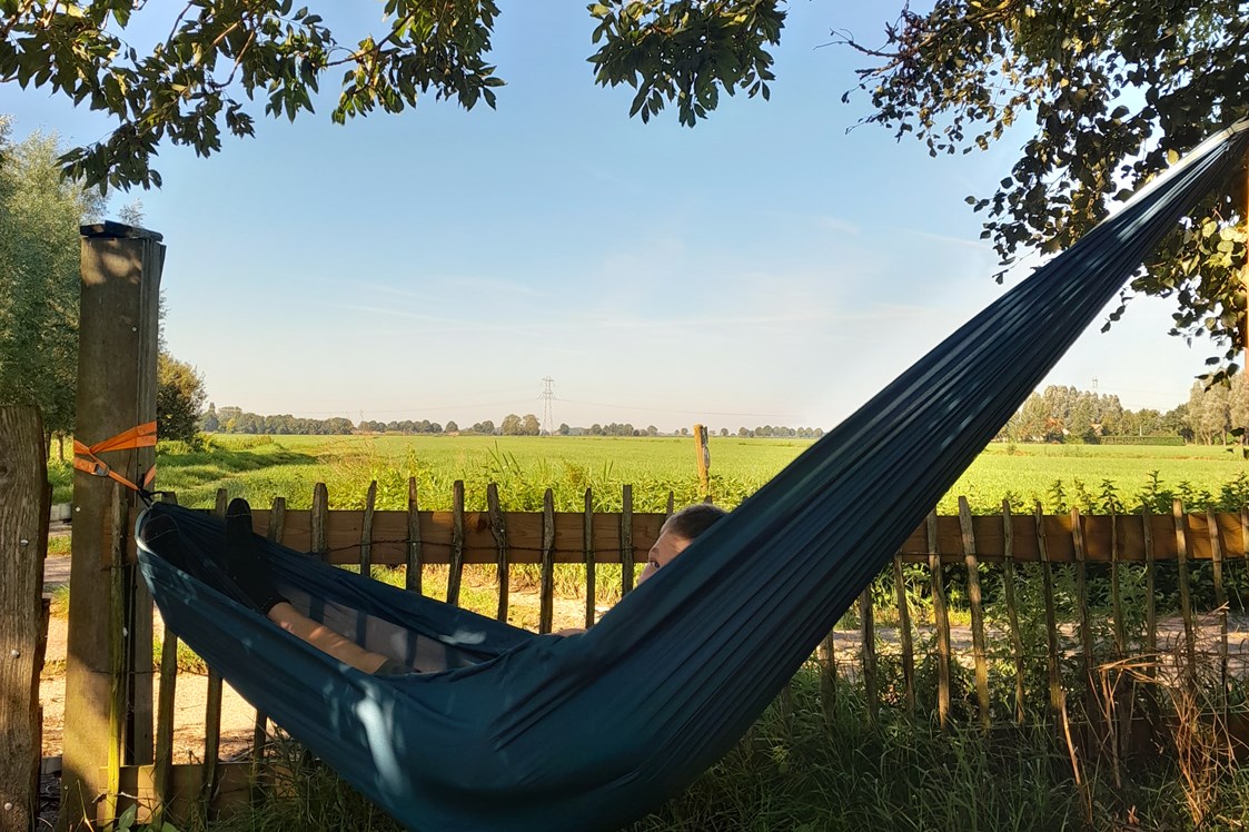 Wohnmobilstellplatz: Genießen Sie die Aussicht auf den Campingplatz.
Überfliegende Störche, Rehe im Naturschutzgebiet fußläufig vom Campingplatz aus erreichbar - SVR-Camping Pieters Farm