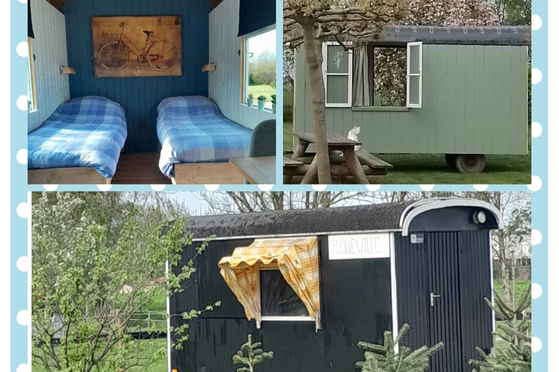 Wohnmobilstellplatz: Es gibt auch Tiny Houses zur Miete oder eines unserer Safarizelte - SVR-Camping Pieters Farm