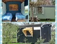 Wohnmobilstellplatz: Es gibt auch Tiny Houses zur Miete oder eines unserer Safarizelte - SVR-Camping Pieters Farm