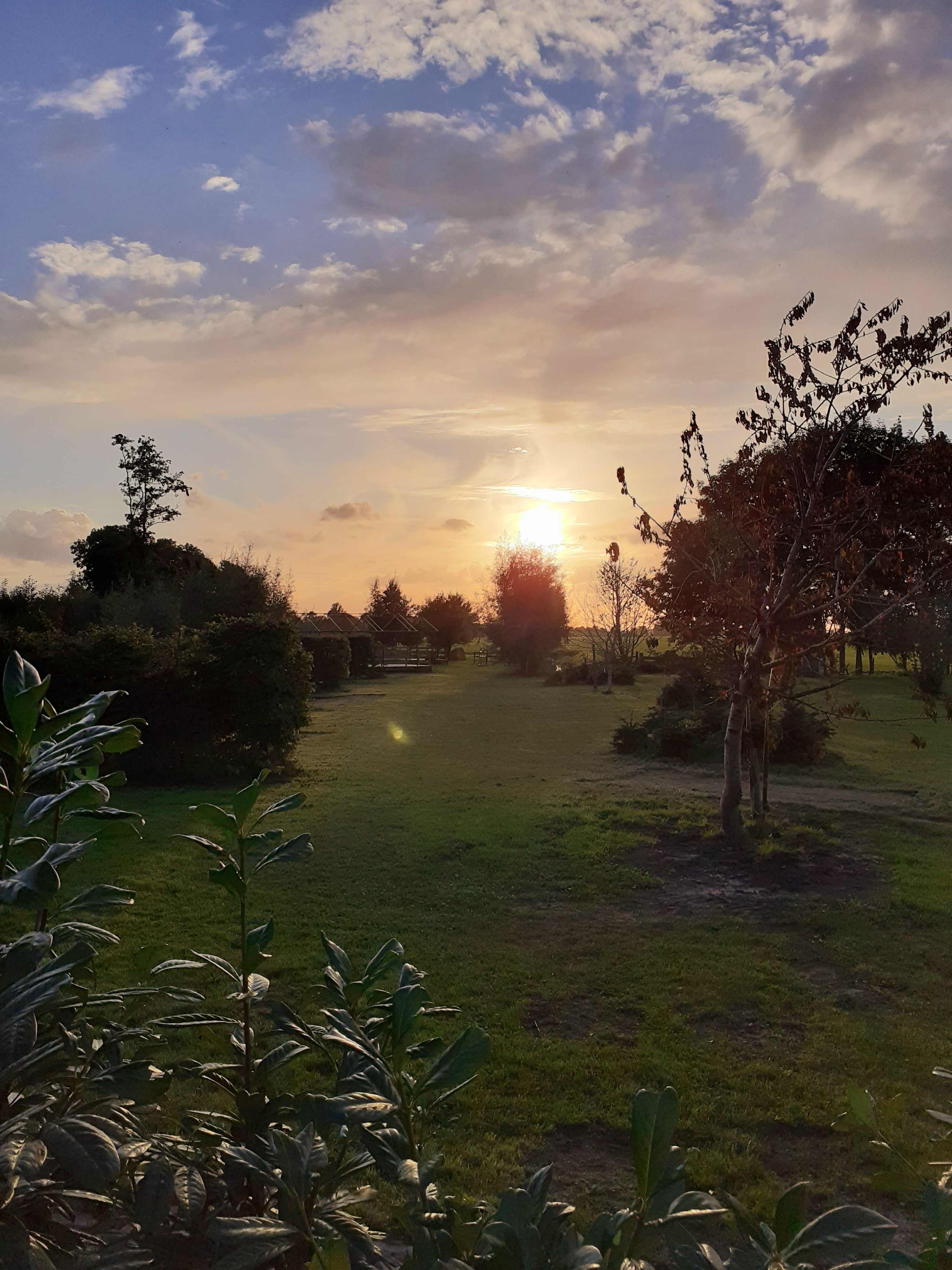 Wohnmobilstellplatz: camping - SVR-Camping Pieters Farm