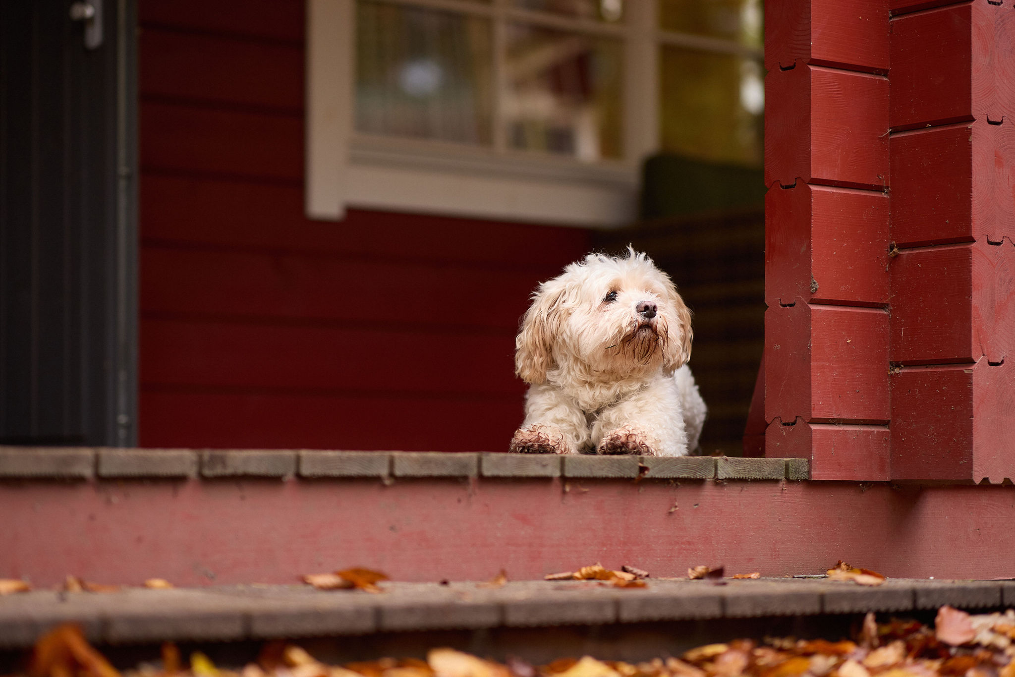 Wohnmobilstellplatz: RCN de Jagerstee, vakantiepark