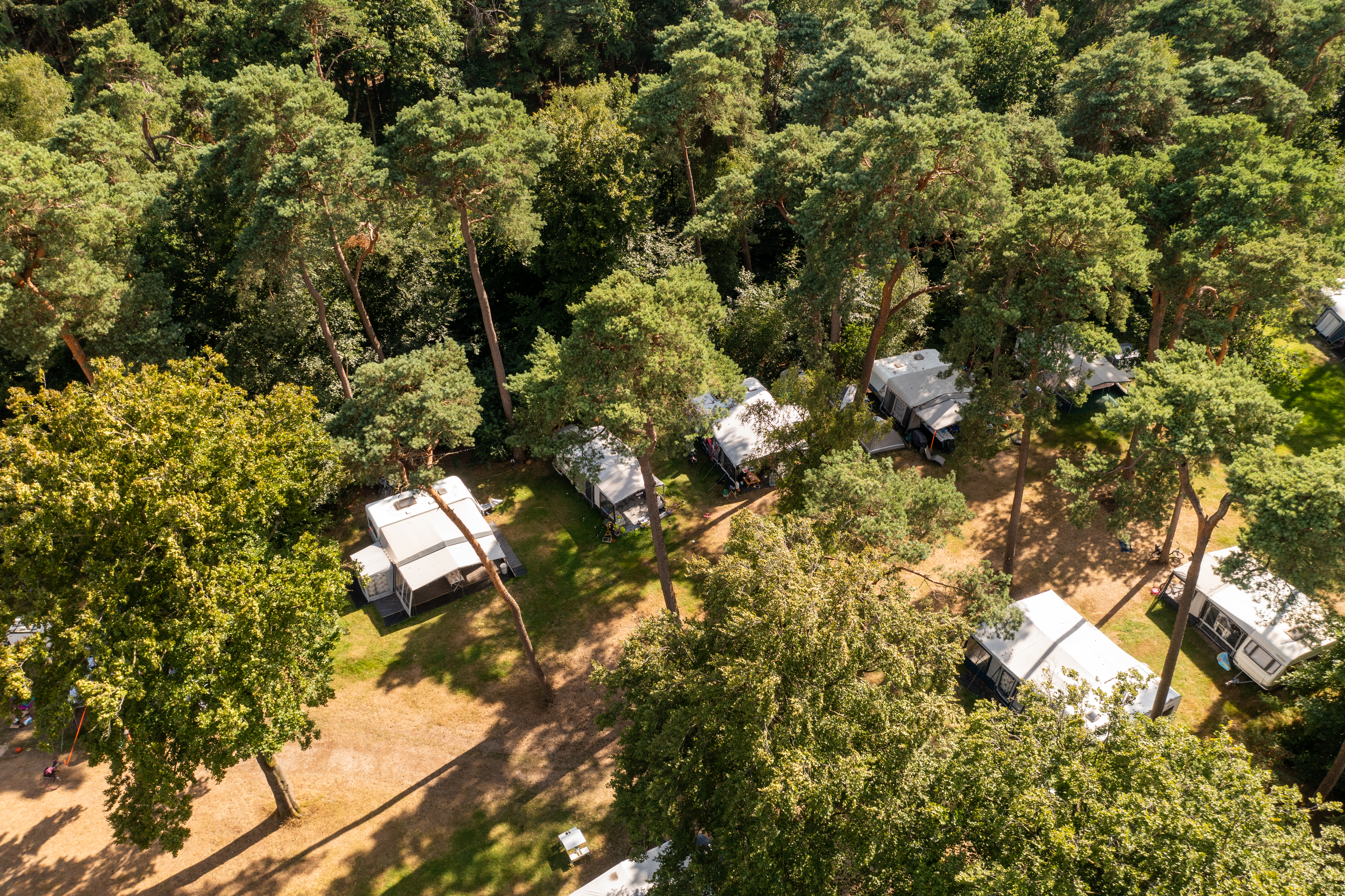 área camper - Ommeren - RCN het Grote Bos, vakantiepark