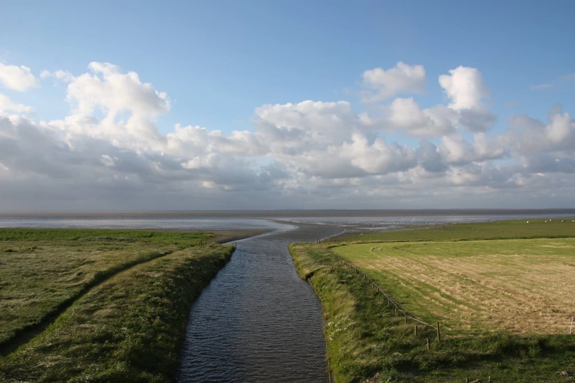 Wohnmobilstellplatz: Camperpark  Zwarte Haan