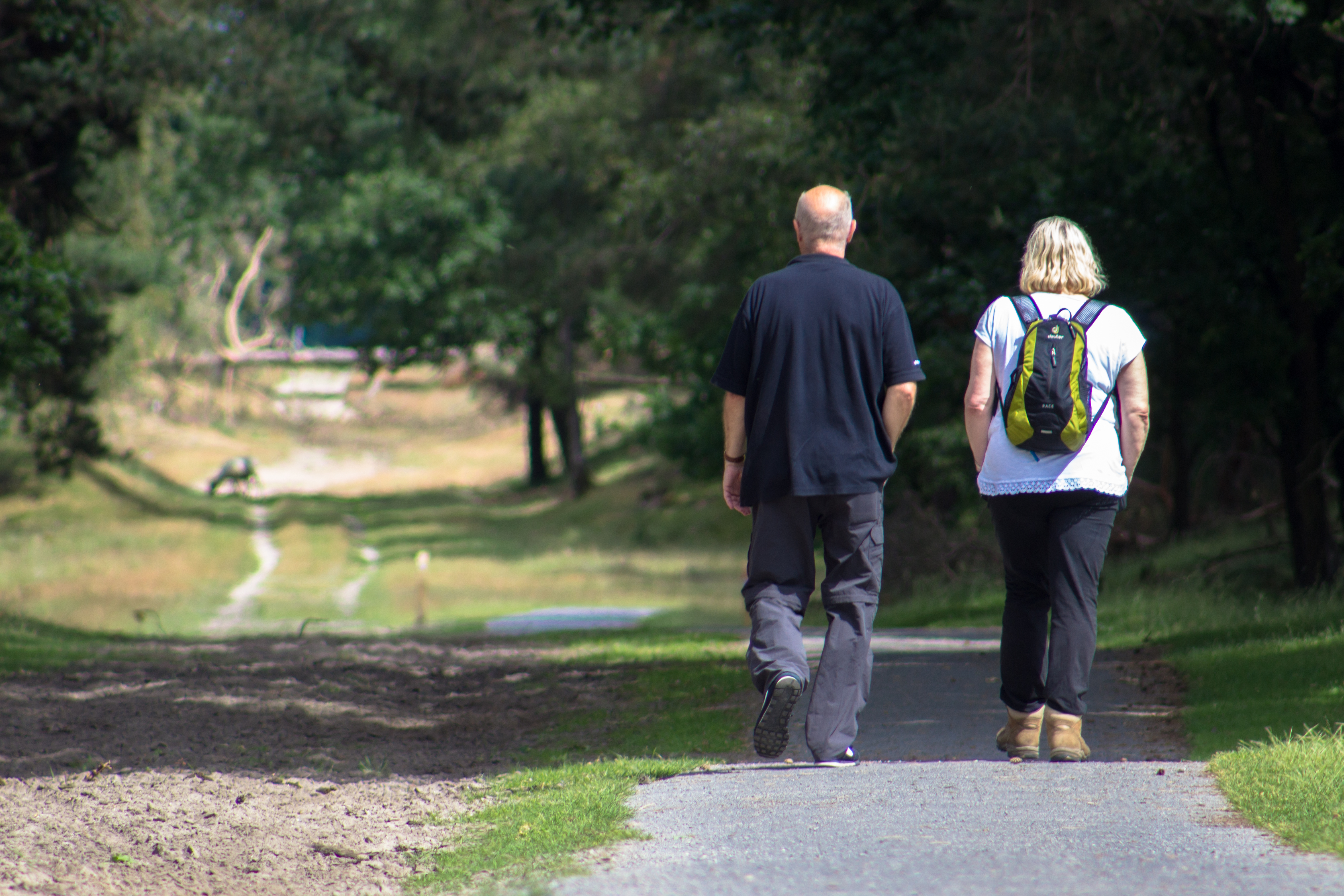 Wohnmobilstellplatz: Camperplaats Appelscha