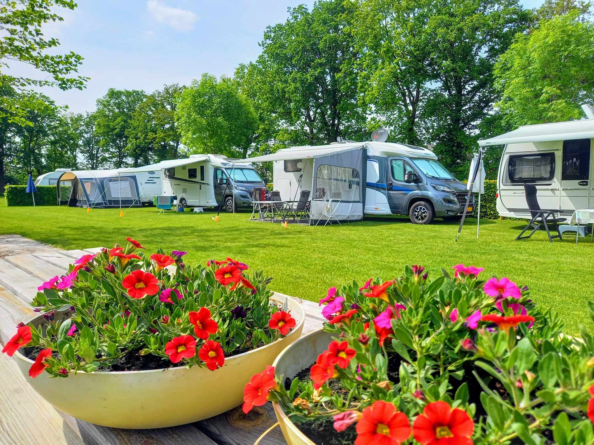 Wohnmobilstellplatz: Minicamping De Linde