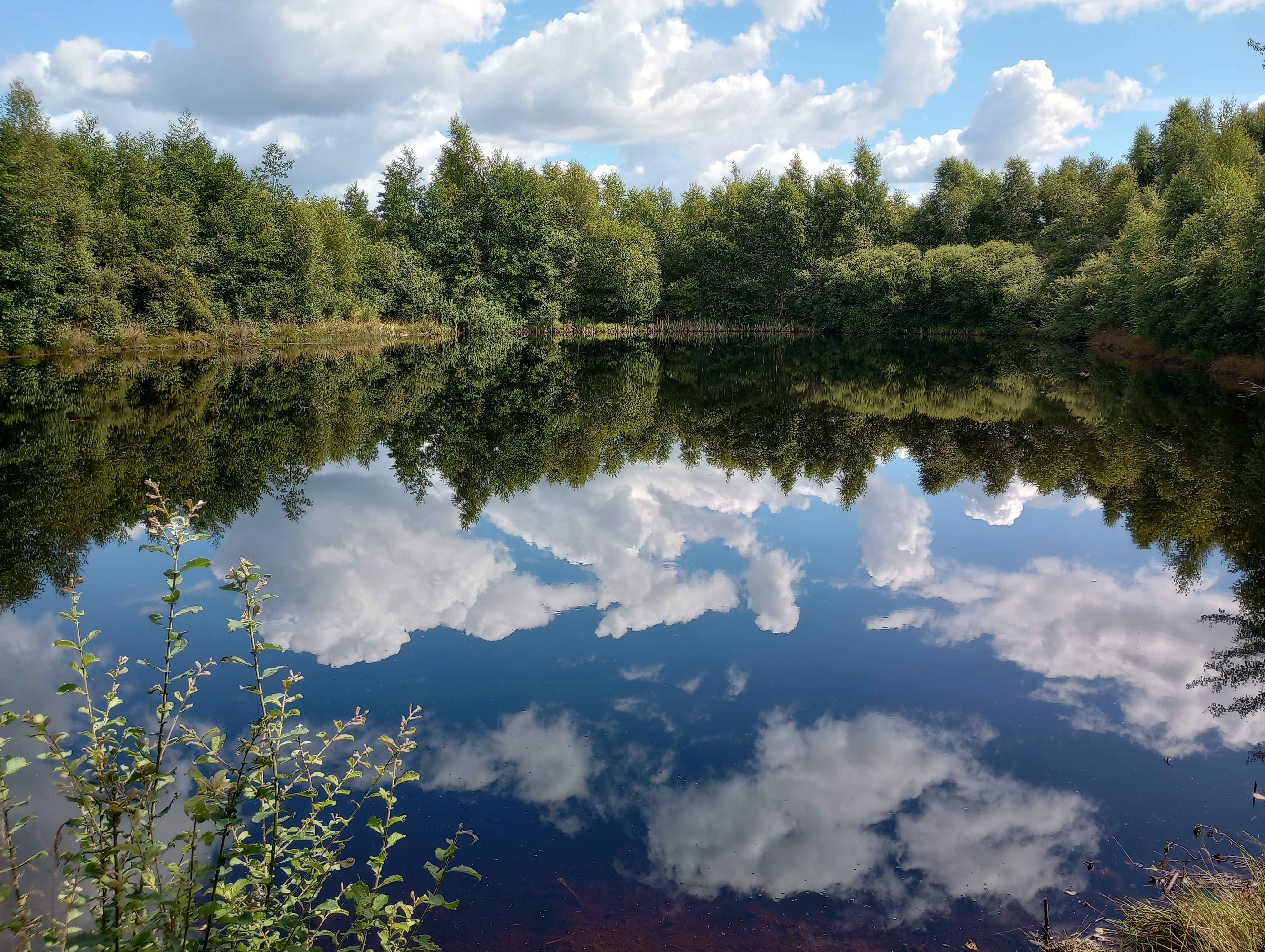 Area sosta per camper - Den Ham - Familie camping Buitenplaats Drenthe