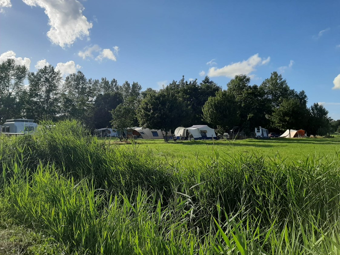 Wohnmobilstellplatz: Camping Hammerslag