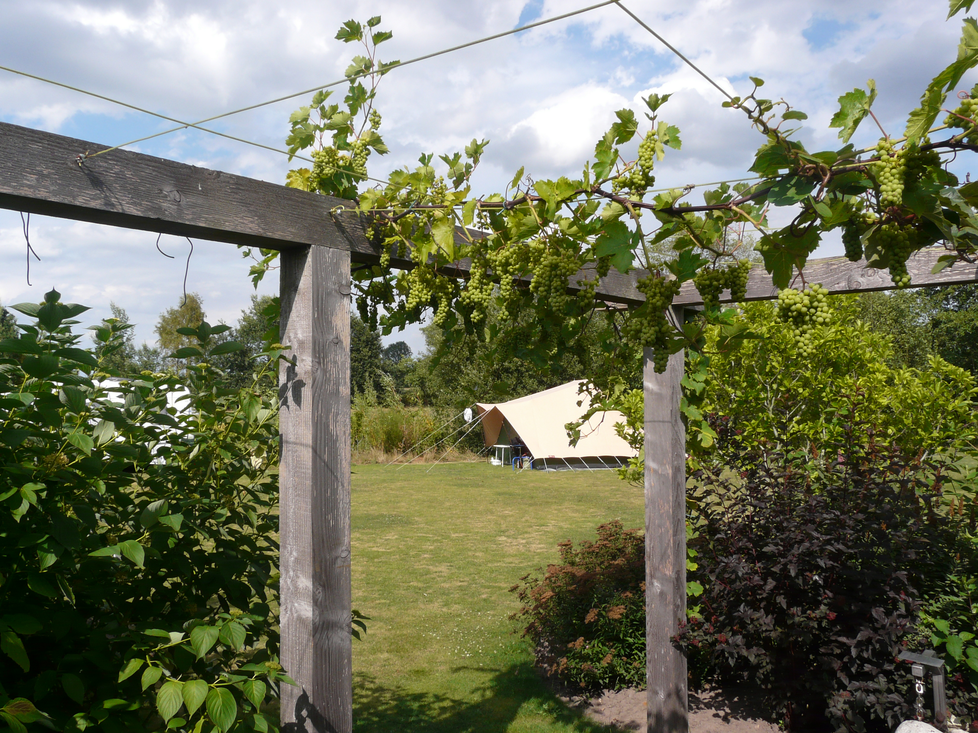 Wohnmobilstellplatz: SVR Camping De Wedze