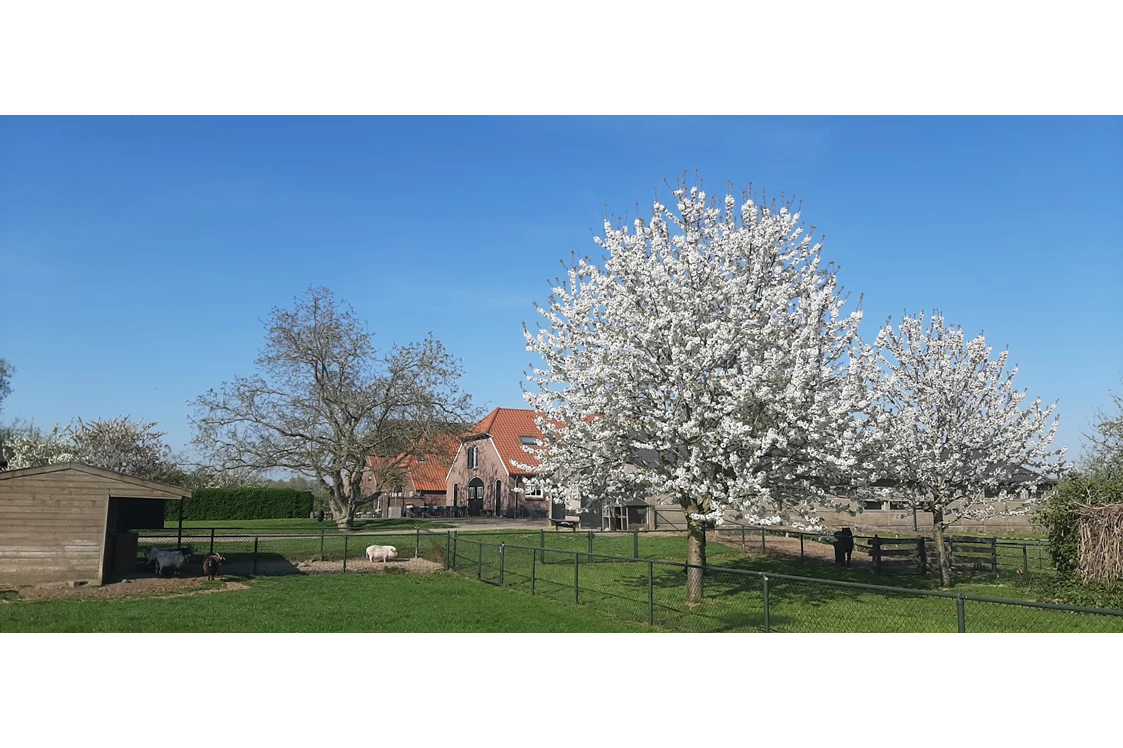 Wohnmobilstellplatz: Boerderij 't Uiversnest