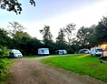 Wohnmobilstellplatz: Camping Leenstertillen