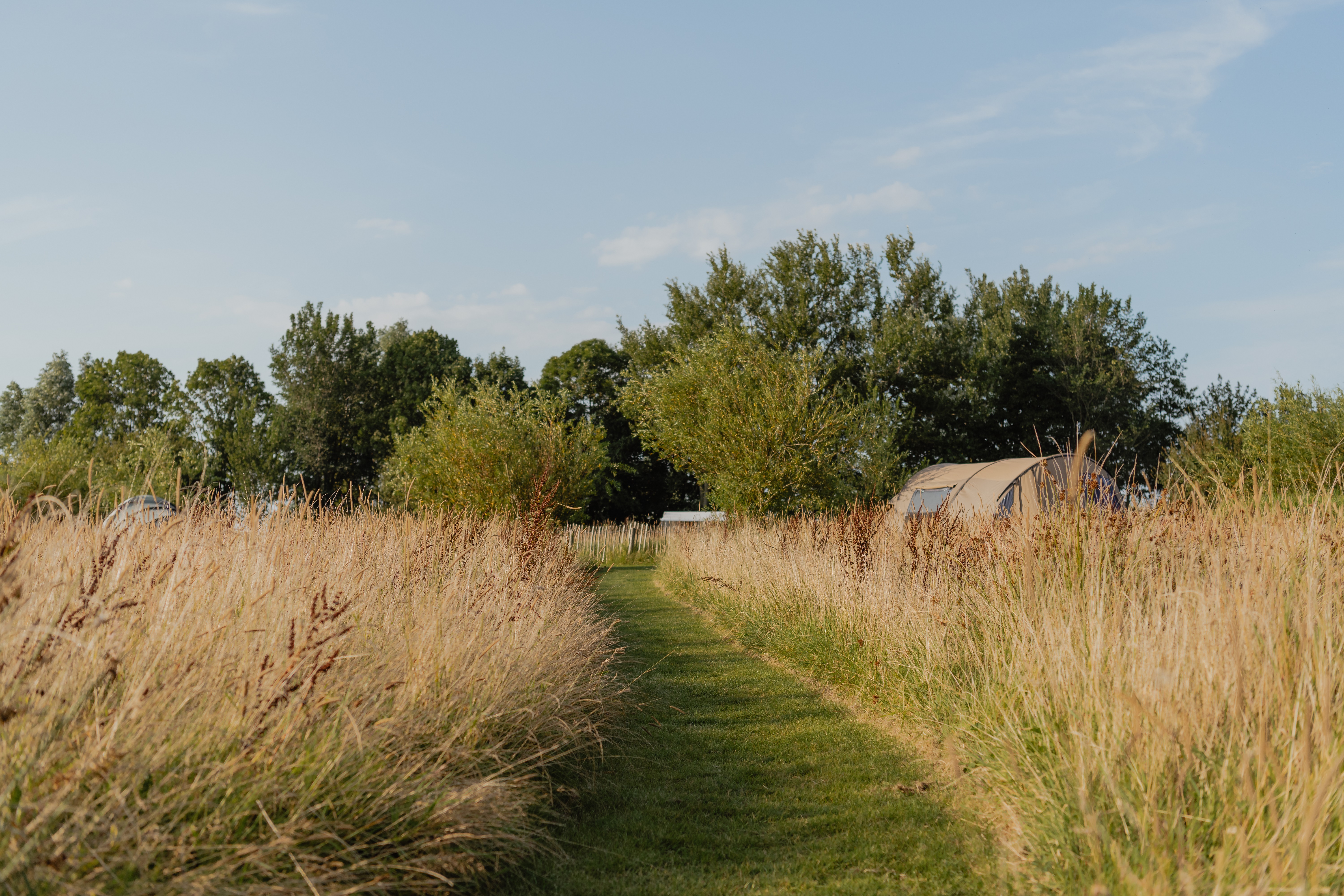 Wohnmobilstellplatz: Camping im hohen Gras - Naturcampingplatz it Dreamlân