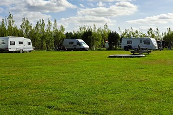 Wohnmobilstellplatz: Camping - Camping Noorderwaard Texel